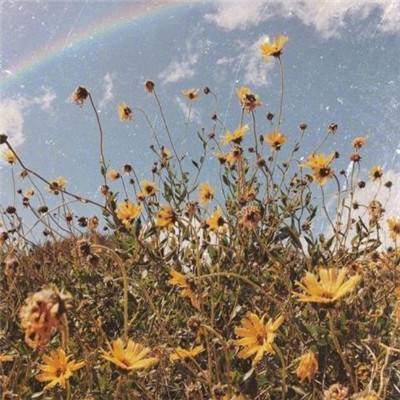 双赢彩票官方网站app下载截图