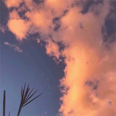 火狐官网手机app下载