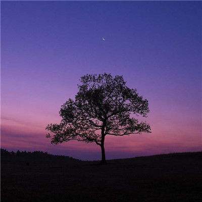 星空体育APP手机app下载