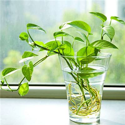 kaiyun体育官方网站全子站入口