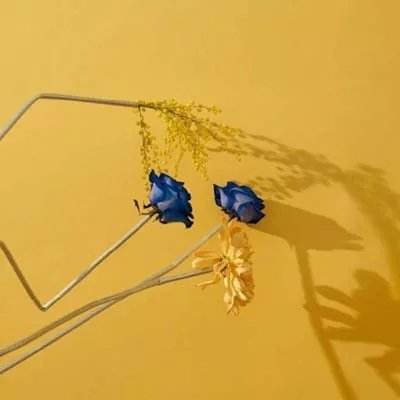 万博manxbet官方截图